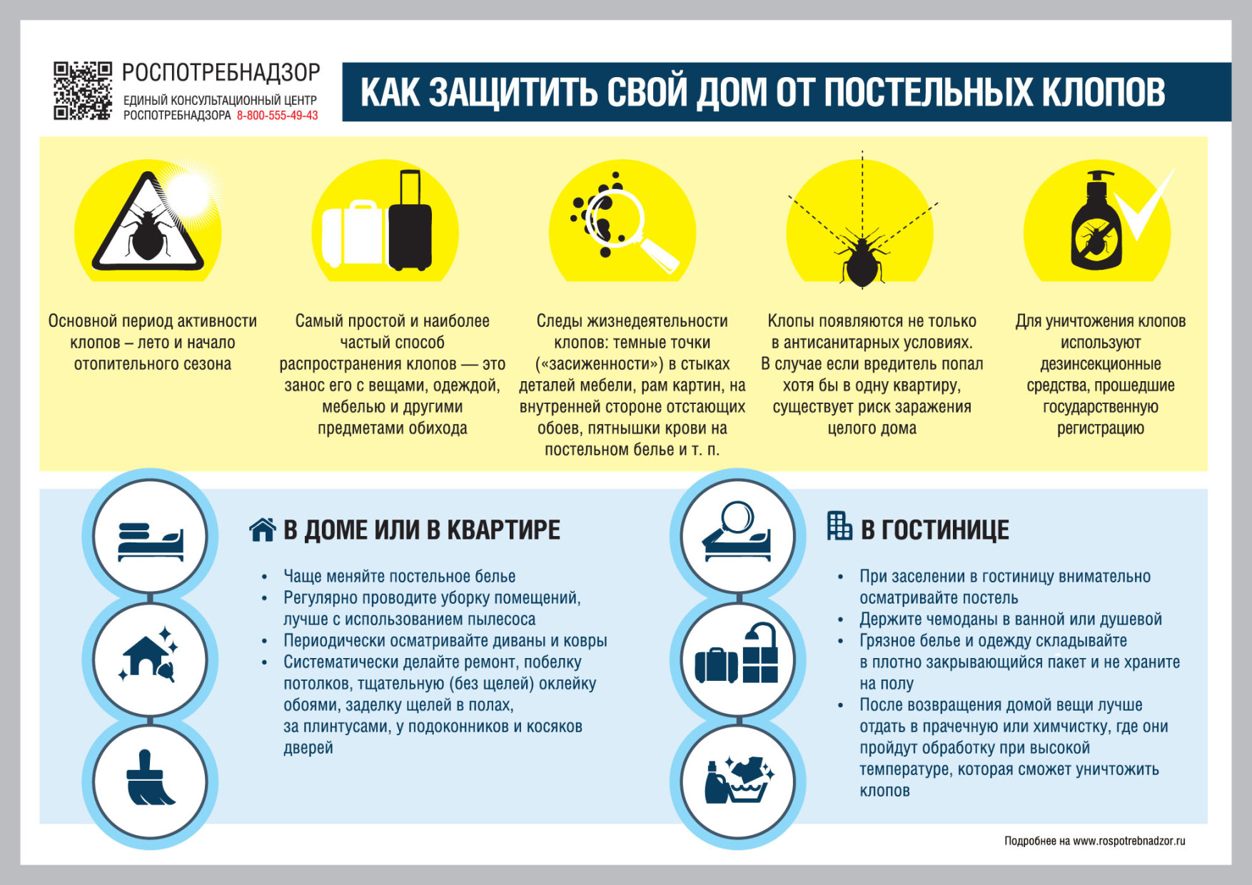 О рекомендациях как защитить свой дом от постельных клопов